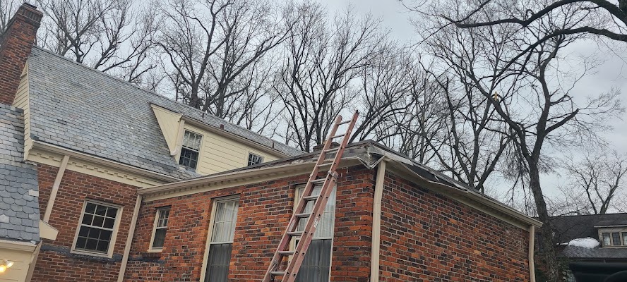 Bellevue-37221-Storm-Damage-2026-02-03